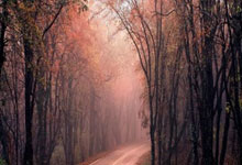 休斯敦公开赛李旻宇领先4杆争夺首冠 舍夫勒T3.