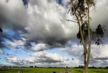 乐天堂联盟:小因扎吉:我们或许配得上更好的结果,但我们很尊重米兰.