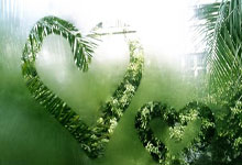 38岁意大利足球运动员坎德雷瓦宣布退役.