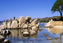 休斯敦公开赛李旻宇领先4杆争夺首冠 舍夫勒T3.